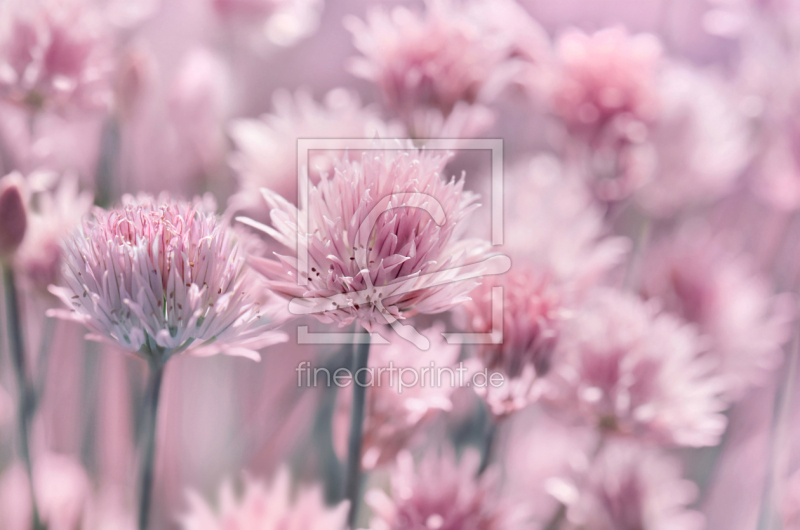 frei wählbarer Bildausschnitt für Ihr Bild auf Tischdecke