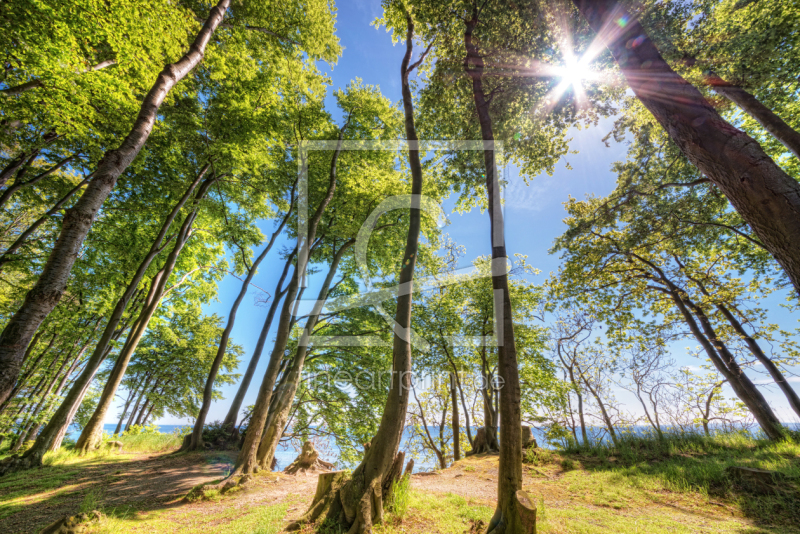 frei wählbarer Bildausschnitt für Ihr Bild auf Tischdecke
