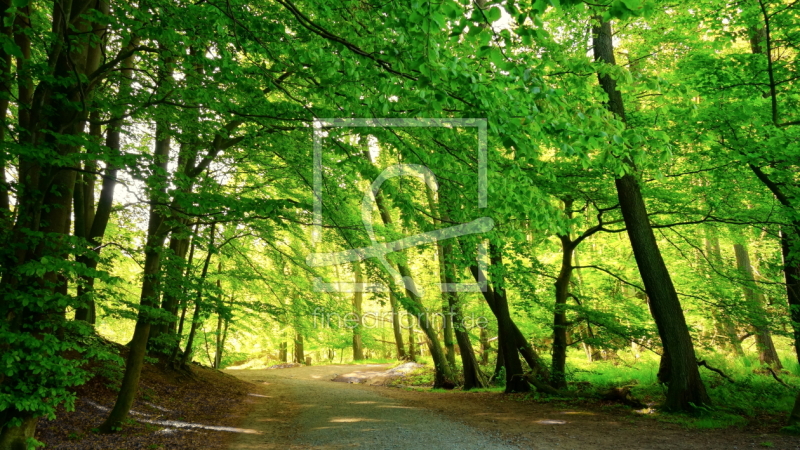frei wählbarer Bildausschnitt für Ihr Bild auf Tischdecke
