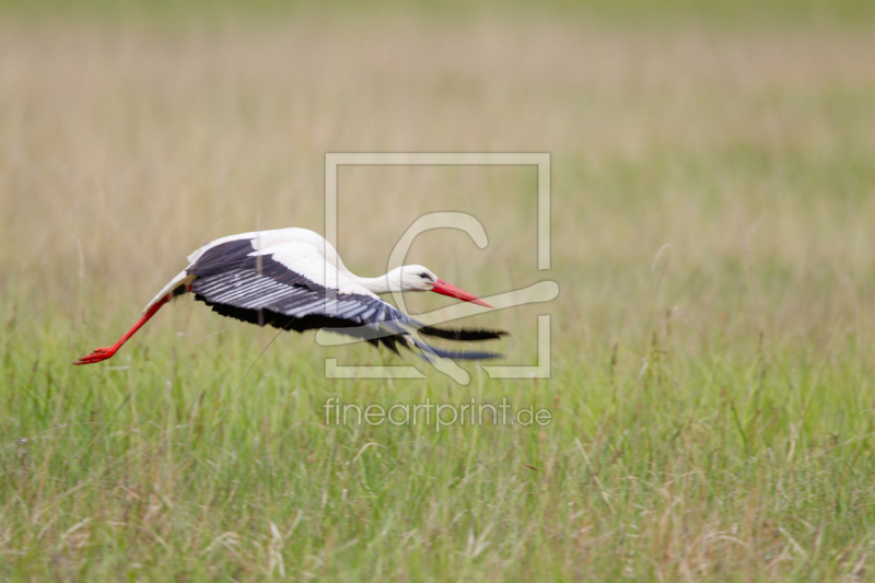 frei wählbarer Bildausschnitt für Ihr Bild auf Tischdecke