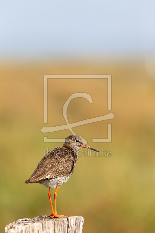 frei w&auml;hlbarer Bildausschnitt f&uuml;r Ihr Bild auf Tischdecke