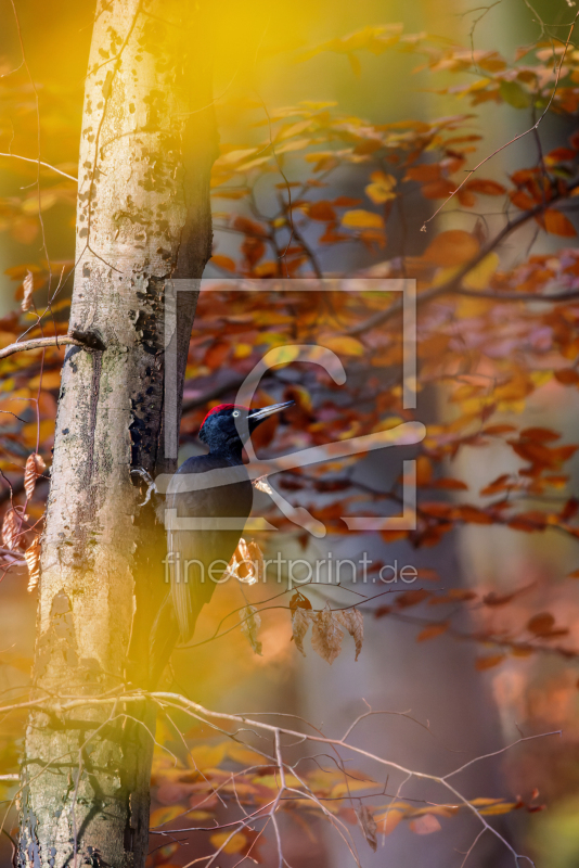 frei w&auml;hlbarer Bildausschnitt f&uuml;r Ihr Bild auf Tischdecke