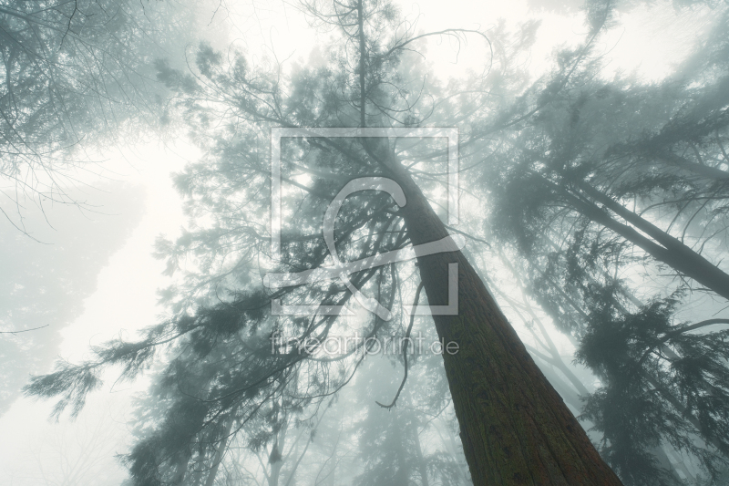 frei w&auml;hlbarer Bildausschnitt f&uuml;r Ihr Bild auf Tischdecke