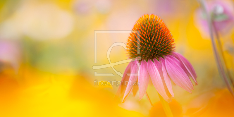 frei w&auml;hlbarer Bildausschnitt f&uuml;r Ihr Bild auf Tischdecke