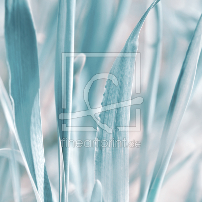 frei w&auml;hlbarer Bildausschnitt f&uuml;r Ihr Bild auf Tischdecke