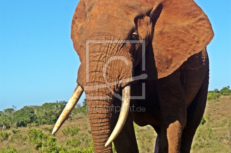 frei w&auml;hlbarer Bildausschnitt f&uuml;r Ihr Bild auf Tischdecke