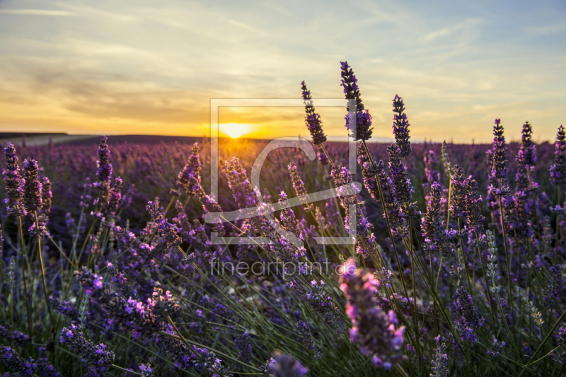 frei w&auml;hlbarer Bildausschnitt f&uuml;r Ihr Bild auf Tischdecke