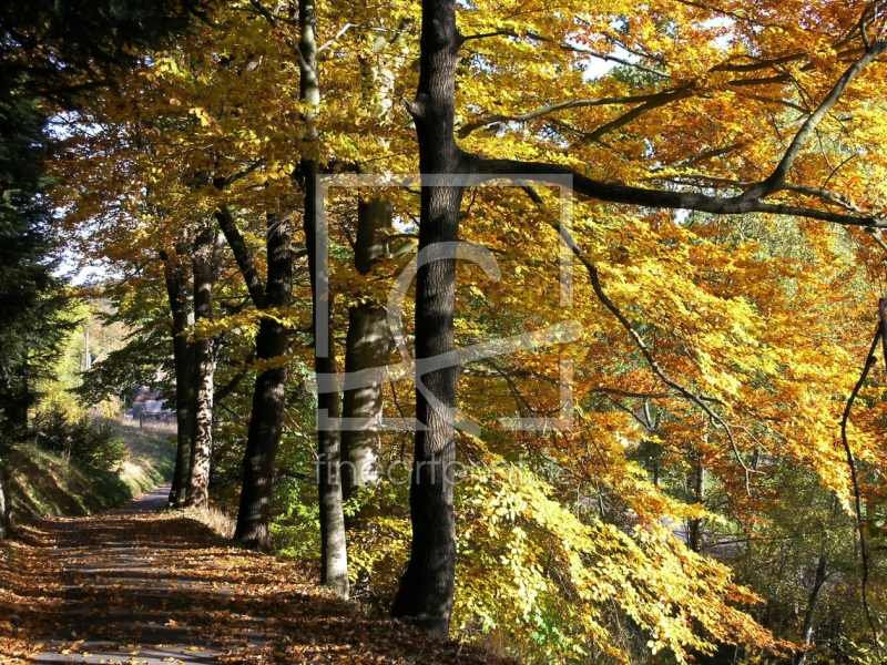 frei wählbarer Bildausschnitt für Ihr Bild auf Tischdecke