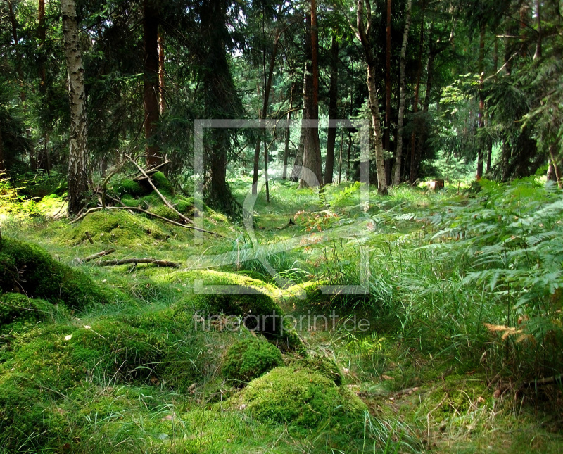 frei wählbarer Bildausschnitt für Ihr Bild auf Tischdecke