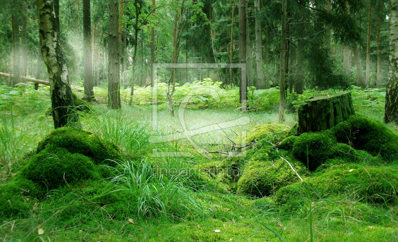 frei wählbarer Bildausschnitt für Ihr Bild auf Tischdecke