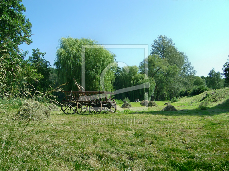 frei wählbarer Bildausschnitt für Ihr Bild auf Tischdecke