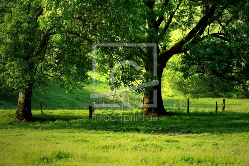 frei wählbarer Bildausschnitt für Ihr Bild auf Tischdecke