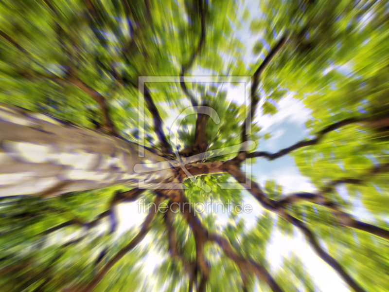 frei wählbarer Bildausschnitt für Ihr Bild auf Tischdecke