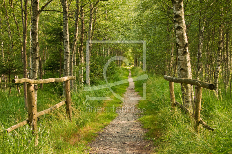 frei wählbarer Bildausschnitt für Ihr Bild auf Tischdecke