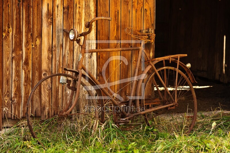 frei wählbarer Bildausschnitt für Ihr Bild auf Tischdecke