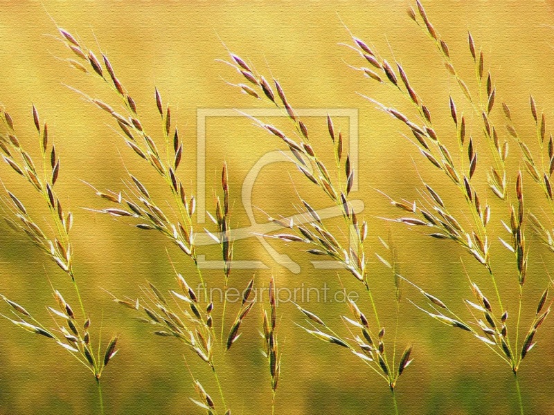 frei wählbarer Bildausschnitt für Ihr Bild auf Tischdecke