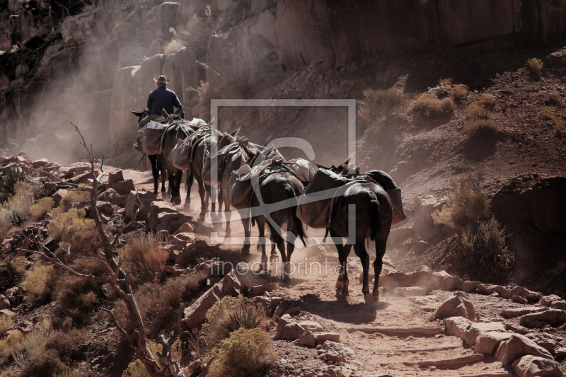 frei wählbarer Bildausschnitt für Ihr Bild auf Tischdecke