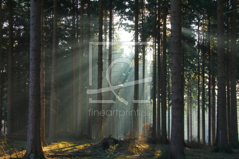 frei wählbarer Bildausschnitt für Ihr Bild auf Tischdecke