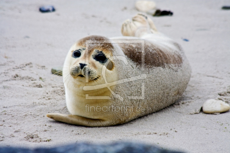 frei wählbarer Bildausschnitt für Ihr Bild auf Tragetasche