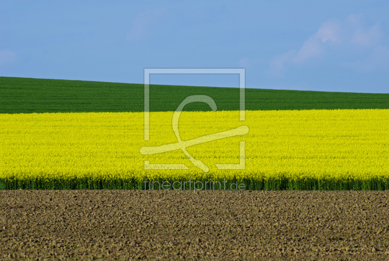 frei wählbarer Bildausschnitt für Ihr Bild auf Tragetasche