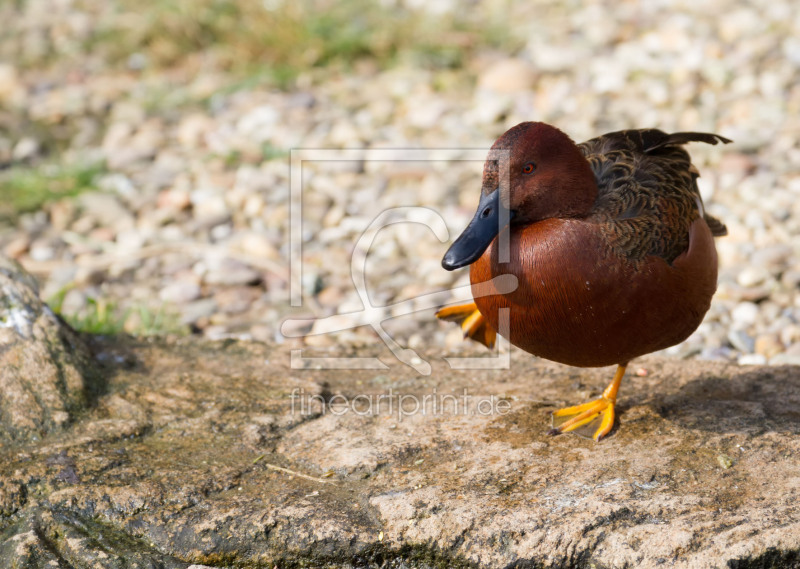 frei wählbarer Bildausschnitt für Ihr Bild auf Tragetasche