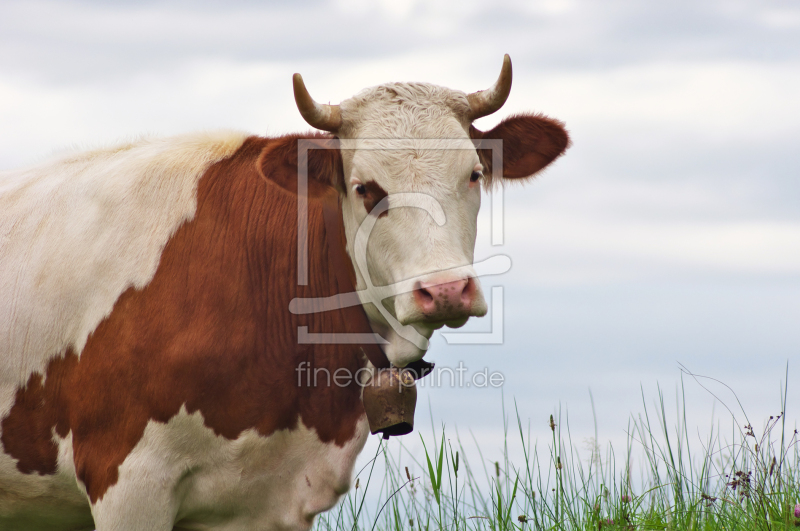 frei wählbarer Bildausschnitt für Ihr Bild auf Tragetasche