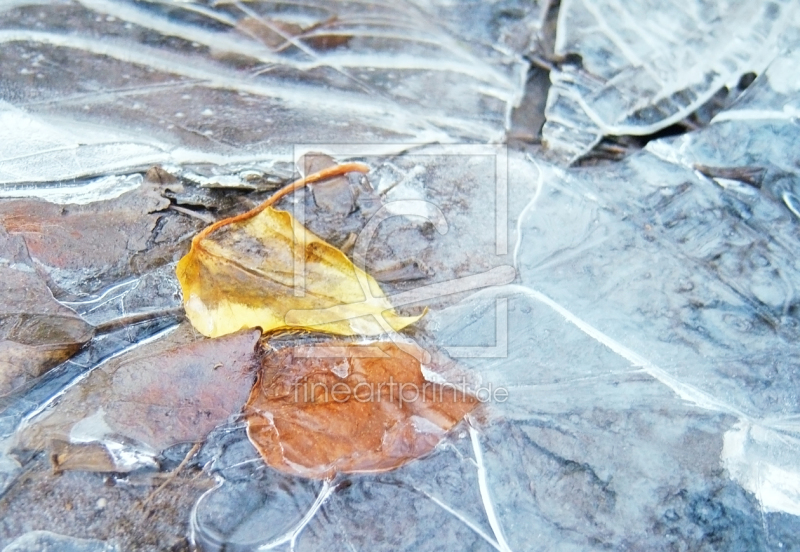 frei wählbarer Bildausschnitt für Ihr Bild auf Tragetasche