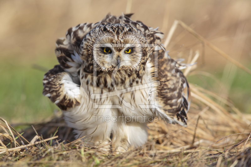 frei wählbarer Bildausschnitt für Ihr Bild auf Tragetasche