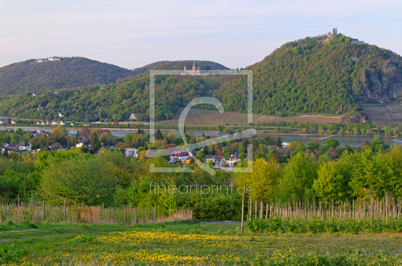 frei wählbarer Bildausschnitt für Ihr Bild auf Tragetasche