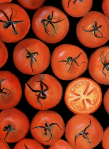 Bild-Nr: 11903312 Tomaten Erstellt von: MoNoir