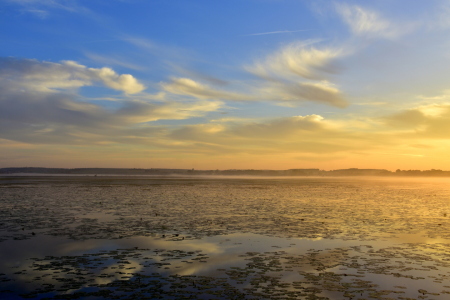 Bild-Nr: 12759484 Morgenstimmung am See Erstellt von: GUGIGEI