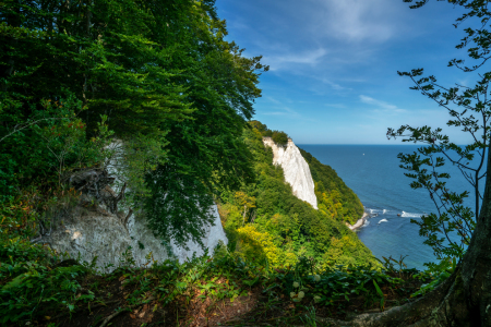 Bild-Nr: 12763783 Königsstuhl Kreidefelsen Erstellt von: volker heide