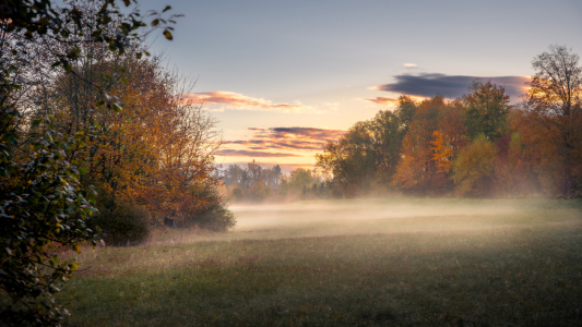 Bild-Nr: 12850615 Nebelspiele im Herbst Erstellt von: Steffen Henze