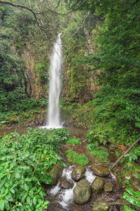 Bild-Nr: 12877040 Wasserfall auf Madeira Erstellt von: Michael Valjak