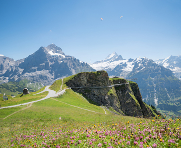 Bild-Nr: 12880868 Felsenweg Grindelwald First II Schweizer Alpen Erstellt von: SusaZoom