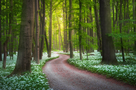 Bild-Nr: 12911025 Wege zur Entspannung XVIII Erstellt von: Daniela Beyer