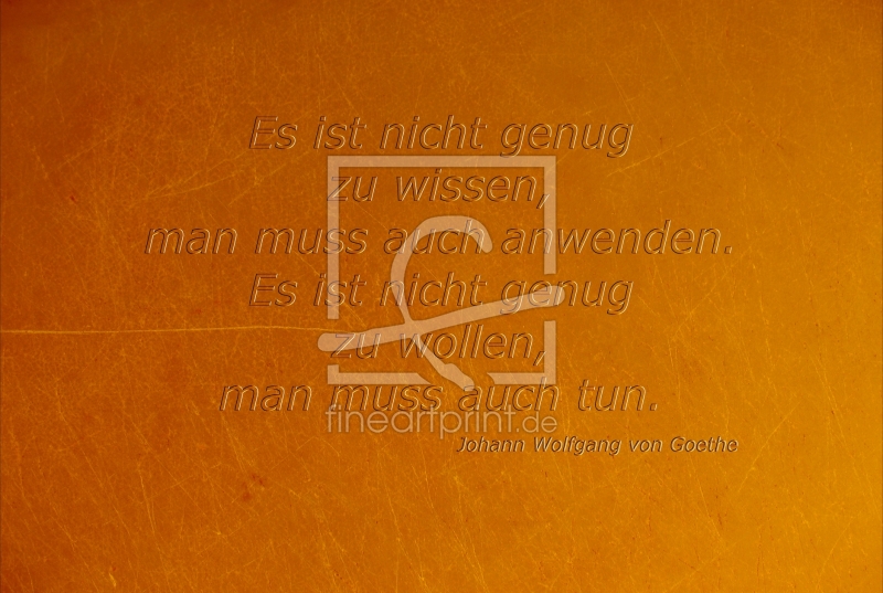 frei wählbarer Bildausschnitt für Ihr Bild auf Türfolie