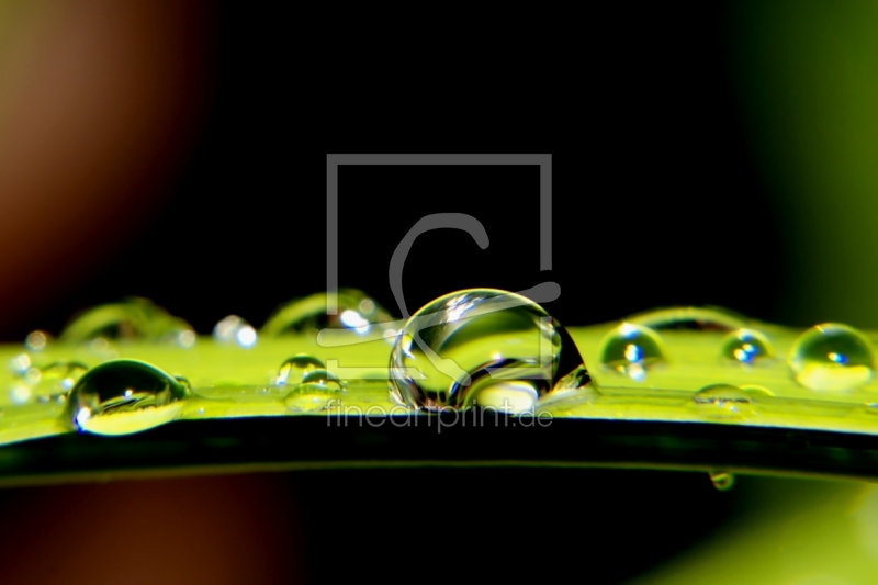 frei wählbarer Bildausschnitt für Ihr Bild auf Türfolie