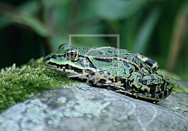 frei wählbarer Bildausschnitt für Ihr Bild auf Türfolie