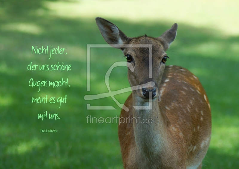 frei wählbarer Bildausschnitt für Ihr Bild auf Türfolie