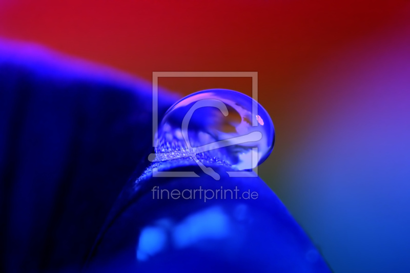 frei wählbarer Bildausschnitt für Ihr Bild auf Türfolie