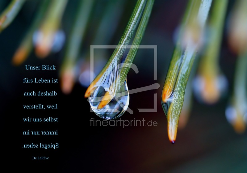 frei wählbarer Bildausschnitt für Ihr Bild auf Türfolie