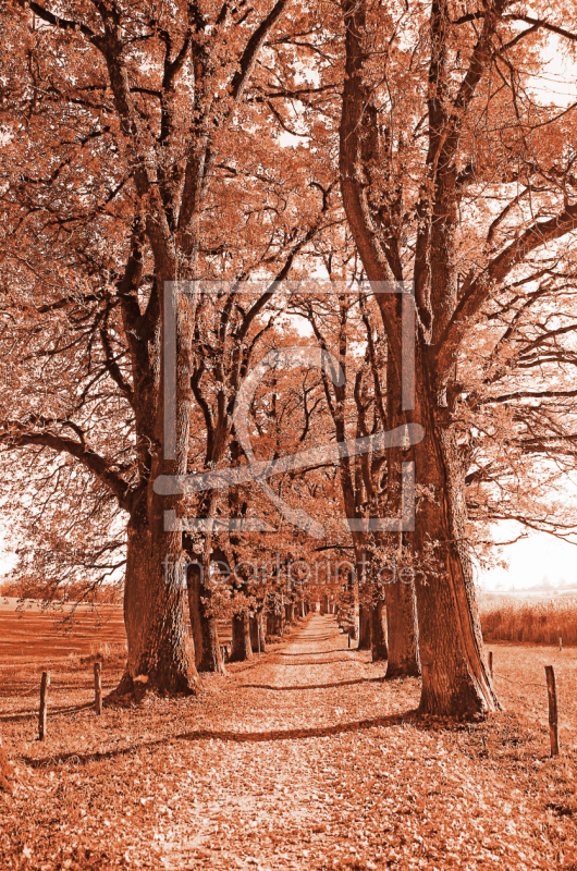 frei wählbarer Bildausschnitt für Ihr Bild auf Türfolie