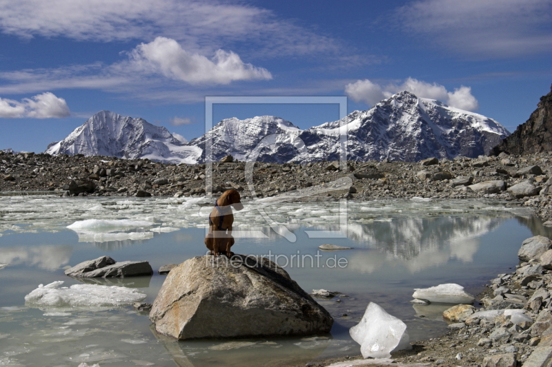 frei wählbarer Bildausschnitt für Ihr Bild auf Türfolie