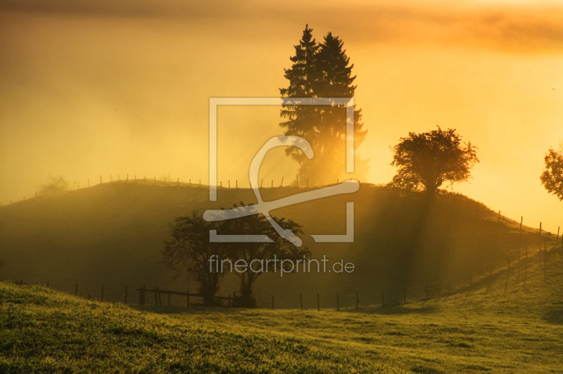 frei wählbarer Bildausschnitt für Ihr Bild auf Türfolie