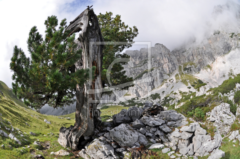 frei wählbarer Bildausschnitt für Ihr Bild auf Türfolie