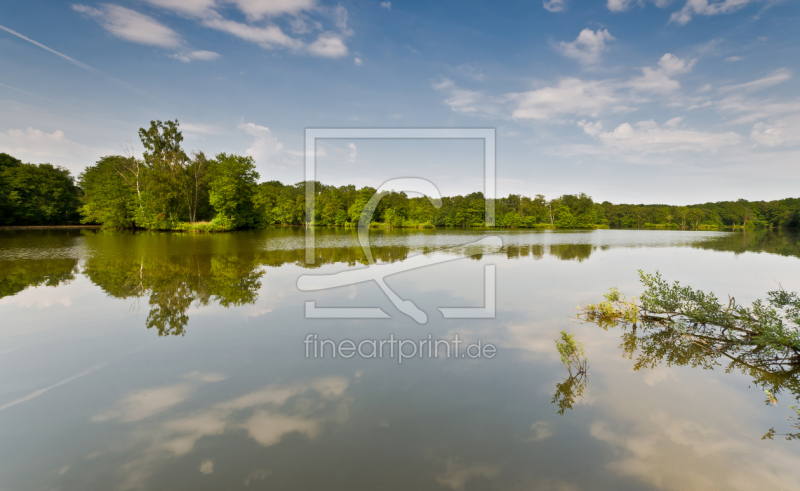 frei wählbarer Bildausschnitt für Ihr Bild auf Türfolie
