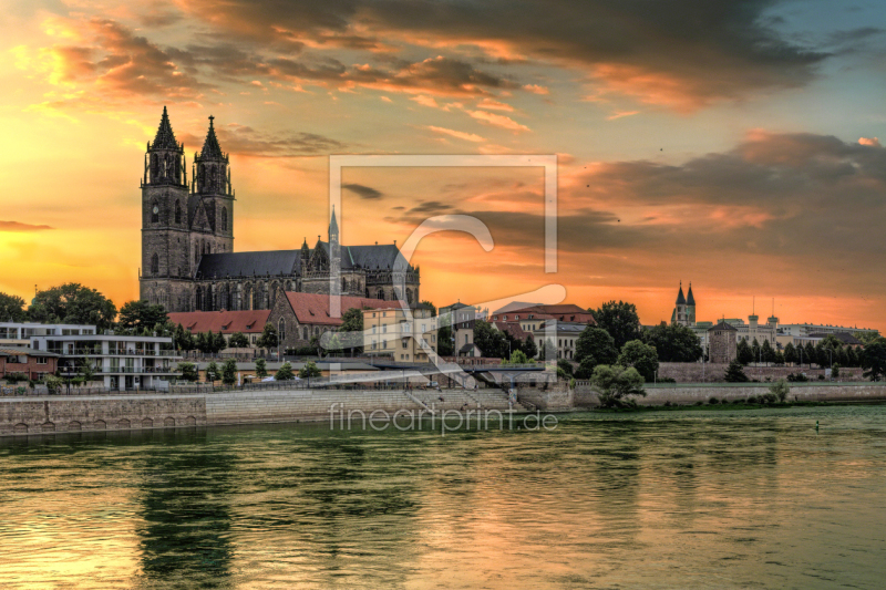 frei wählbarer Bildausschnitt für Ihr Bild auf Türfolie