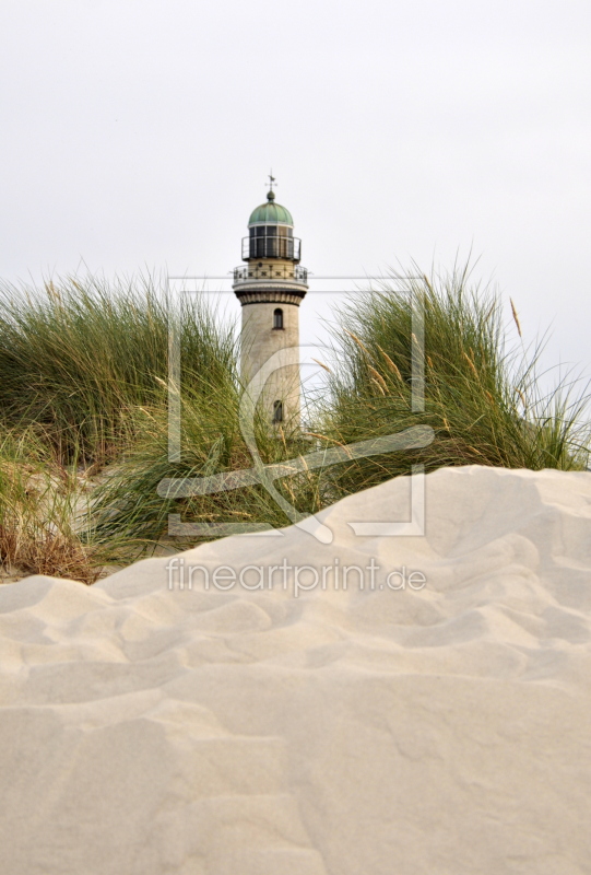 frei wählbarer Bildausschnitt für Ihr Bild auf Türfolie