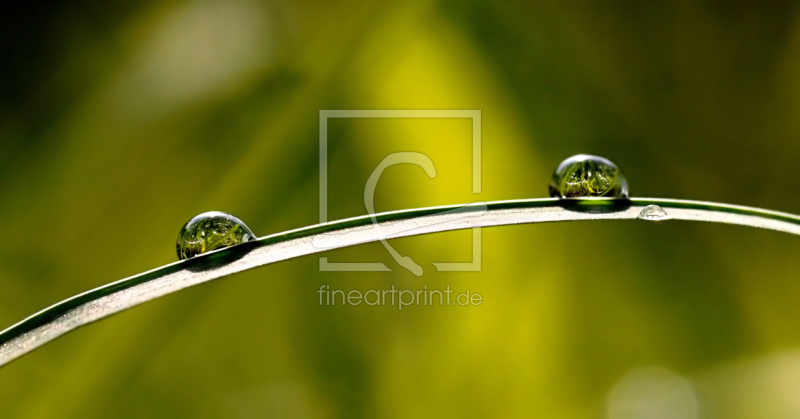 frei wählbarer Bildausschnitt für Ihr Bild auf Türfolie